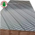 /msite/products/detail/productid/55081237/id/542710.html